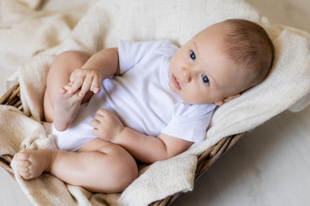 adorable Little in white body laying in basket, card, banner, health