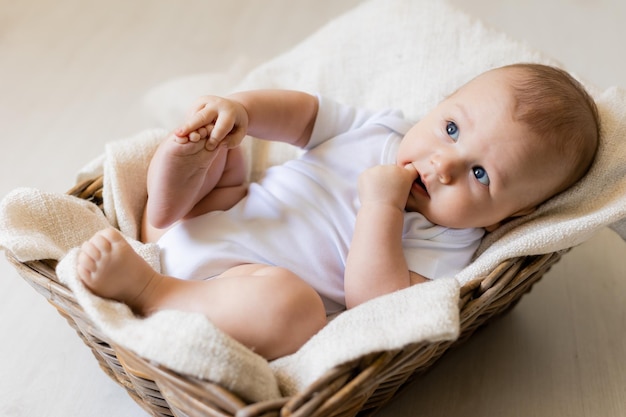 adorable Little in white body laying in basket, card, banner, health