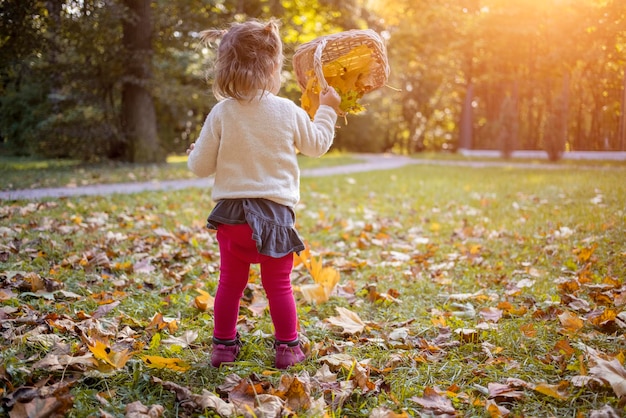 Adorable toddler girl playing with yellow maple leaves in autumn park on a sunny day