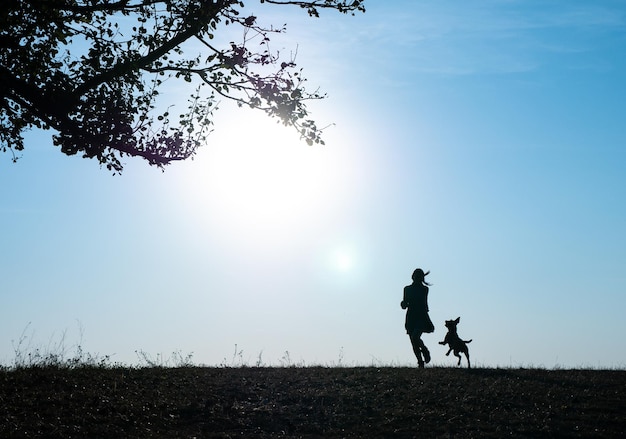 Adorable young woman playing running with her cute dog on nature during sunset. Pretty girl walking in the meadow with her cute dog. Slow motion