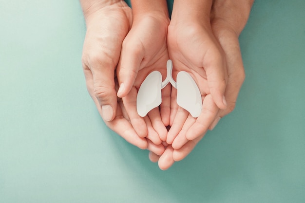 Adult and child hands holding lung, world tuberculosis day, world no tobacco day, corona covid-19 virus, eco air pollution. organ donation concept