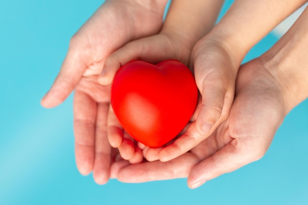 Adult and child hands holding red heart health care love organ donation family insurance and CSR