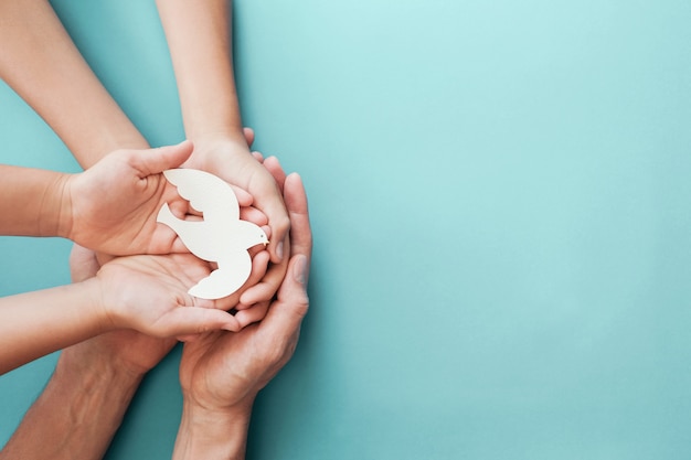 Adult and child hands holding white dove bird on blue background