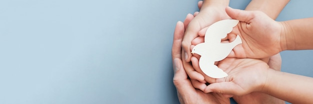 Adult and child hands holding white dove bird