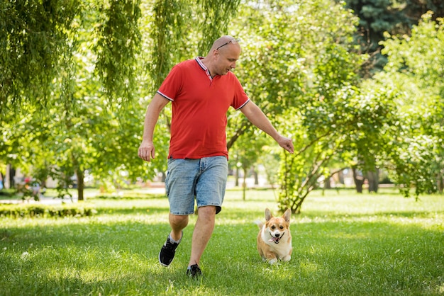 Adult man is training her welsh corgi pembroke dog at city park