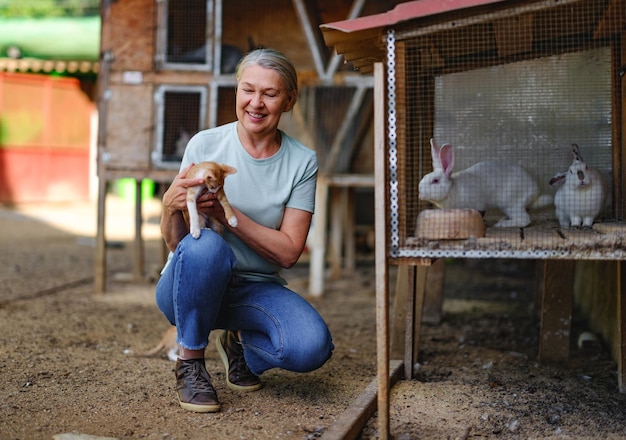 Adult woman farmer with white rabbits in her farm The farmer takes care of the animals