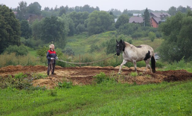 an adult woman training horse on cord in padock