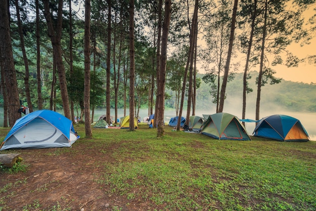 Adventures camping and camping in the morning with light fog at Pang-ung, Mae Hong Son, Thailand