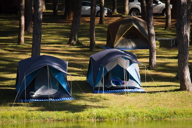 Adventures Camping and tent under the pine forest near water outdoor in morning at Pangung pine