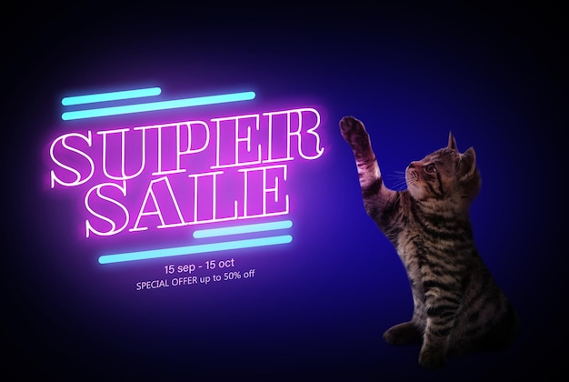 Advertising poster Pet Shop SALE Cute cat and discount offer on dark background