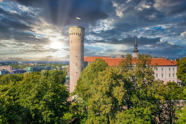 Aerial ancient castle in old town of Tallinn. Toompea is the Estonian parliament site.