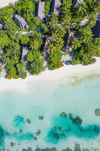 Aerial beautiful paradise Maldives tropical beach on island. Summer travel vacation landscape