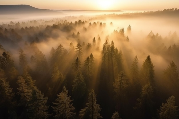 Aerial Drone Shots of Beautiful Landscapes and Natural Wonders