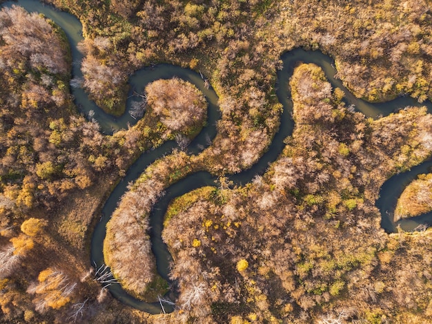 Aerial drone view of autumn landscape with river