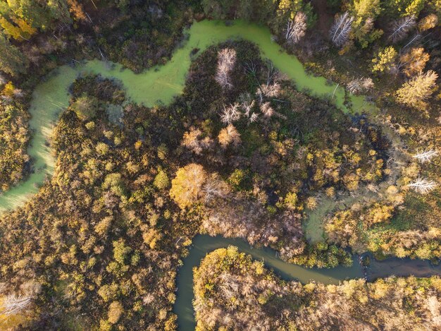 Aerial drone view of autumn landscape with river