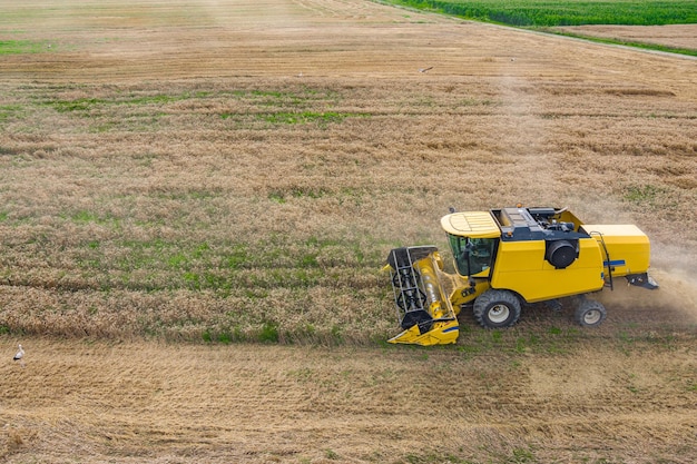 Aerial drone view combine harvesters