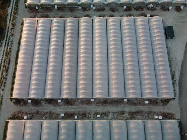 Aerial drone view of huge areas greenhouse for growing vegetables Greenhouse farming agriculture industry Flying over large industrial greenhouses at sunset