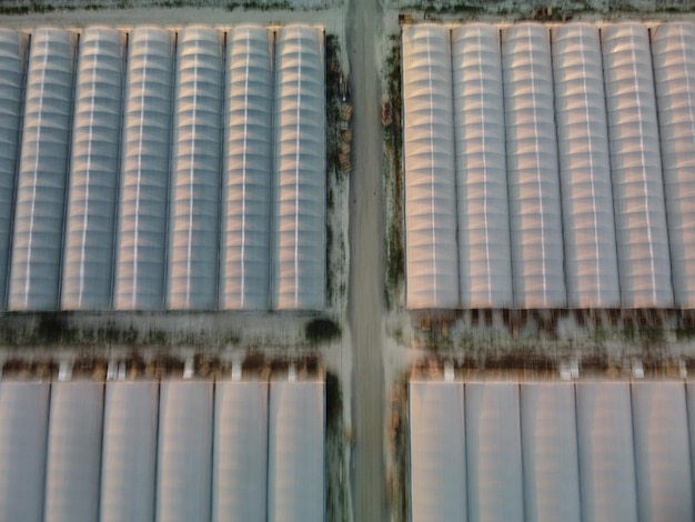 Aerial drone view of huge areas greenhouse for growing vegetables Greenhouse farming agriculture industry Flying over large industrial greenhouses at sunset