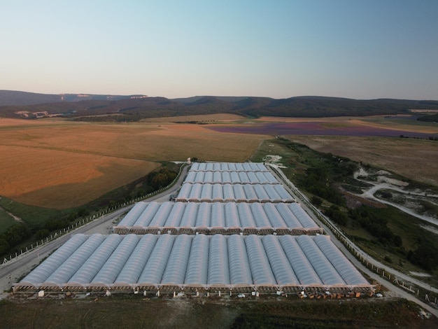 Aerial drone view of huge areas greenhouse for growing vegetables greenhouse farming agriculture