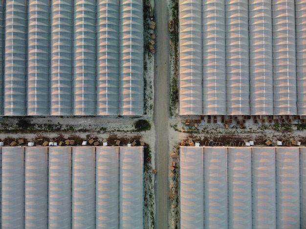 Aerial drone view of huge areas greenhouse for growing vegetables greenhouse farming agriculture