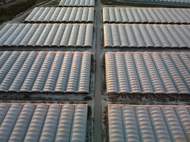 Aerial drone view of huge areas greenhouse for growing vegetables greenhouse farming agriculture