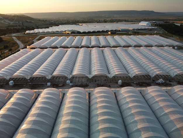 Aerial drone view of huge areas greenhouse for growing vegetables greenhouse farming agriculture