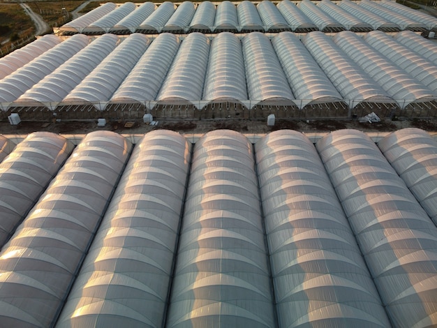 Aerial drone view of huge areas greenhouse for growing vegetables greenhouse farming agriculture