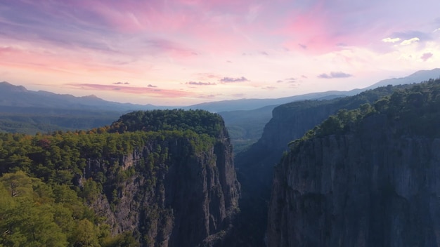 Aerial drone view of a large deep canyon Sheer cliffs and green trees Wildlife concept Sunset background