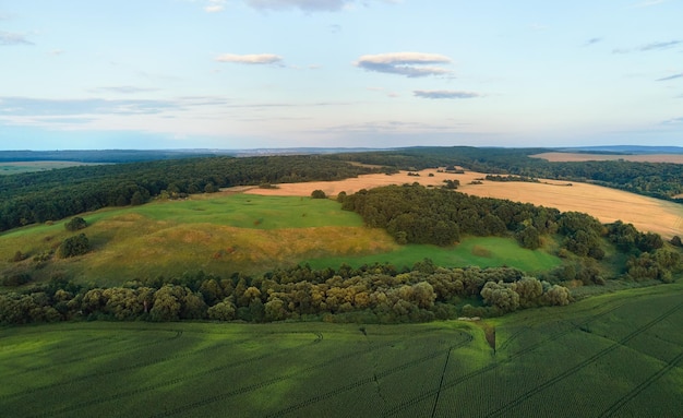 Aerial landscape view of green cultivated agricultural fields with growing crops on bright summer day