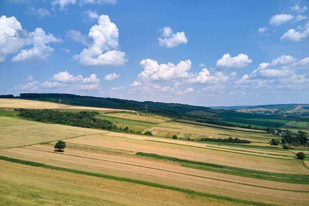 Aerial landscape view of green and yellow cultivated agricultural fields with growing crops on bright summer day