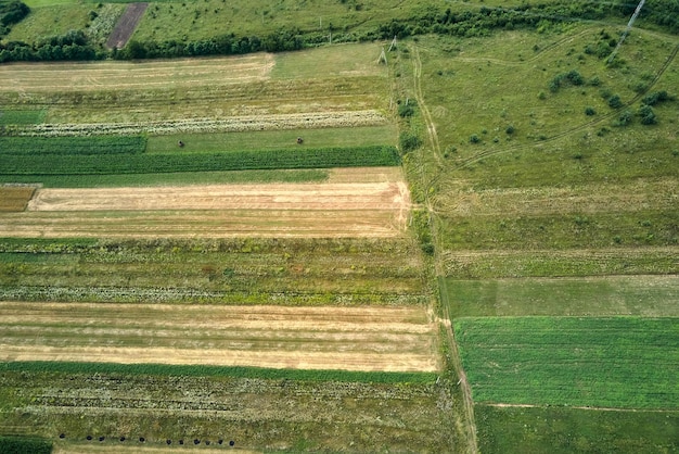 Aerial landscape view of green and yellow cultivated agricultural fields with growing crops on bright summer day