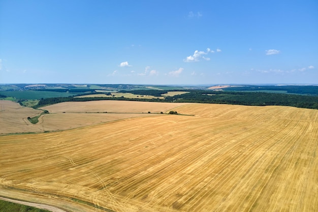 Aerial landscape view of yellow cultivated agricultural field with dry straw of cut down wheat after harvesting