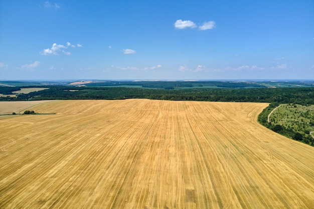 Aerial landscape view of yellow cultivated agricultural field with dry straw of cut down wheat after harvesting