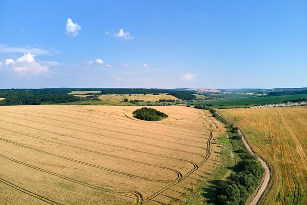 Aerial landscape view of yellow cultivated agricultural field with ripe wheat on bright summer day