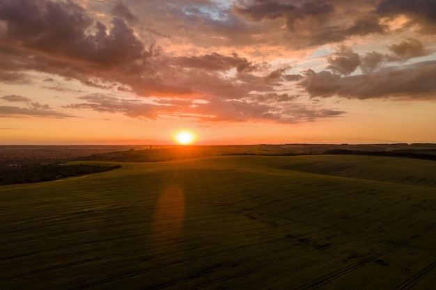 Aerial landscape view of yellow cultivated agricultural field with ripe wheat on vibrant summer evening