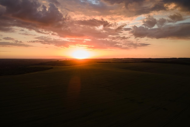 Aerial landscape view of yellow cultivated agricultural field with ripe wheat on vibrant summer evening