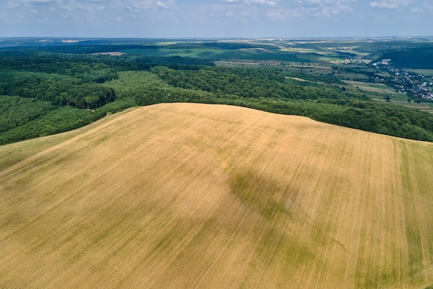 Aerial landscape view of yellow cultivated agricultural fields with ripe wheat and green woods on bright summer day