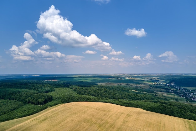 Aerial landscape view of yellow cultivated agricultural fields with ripe wheat and green woods on bright summer day