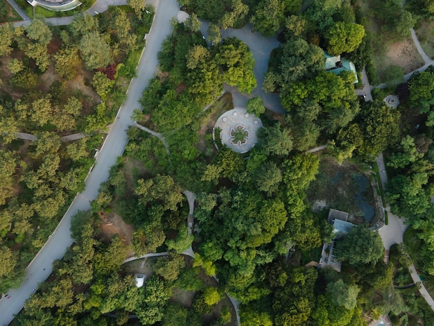 Aerial photo of the forest in the park