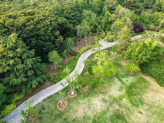 Aerial photo of outdoor green park road ground