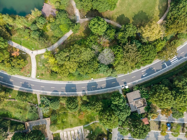 Aerial photography of China's forest road