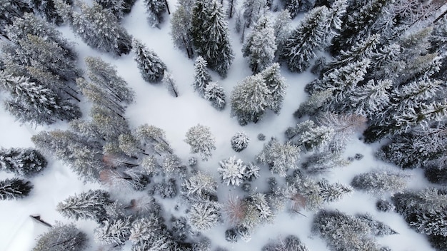 Aerial shot of snowy Umatilla National Forest in Tollgate, Oregon, the USA