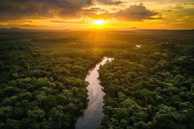 Aerial sunset view of Amazon rainforest in Brazil