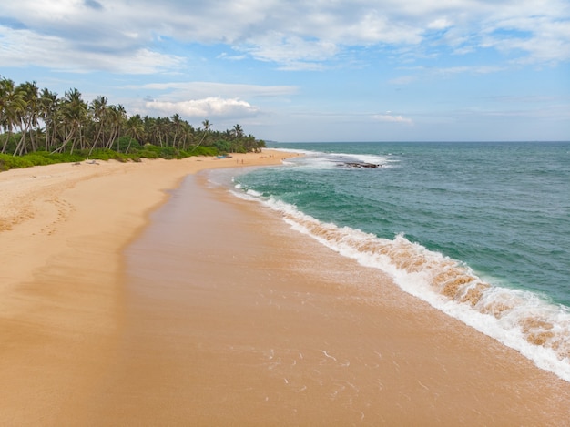 Aerial tangalle beach sri lanka view from above