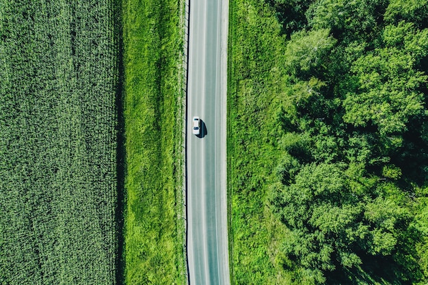 Aerial top view of a asphalt road with a car through xAgreen forest and corn field in summer