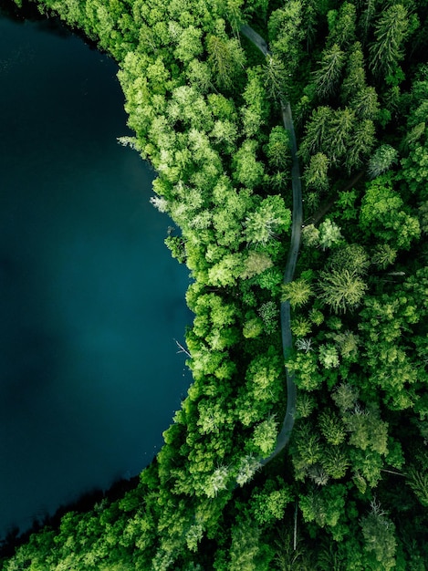 Aerial top view of country road in green summer forest and blue lake Rural landscape in Finland Drone photography from above