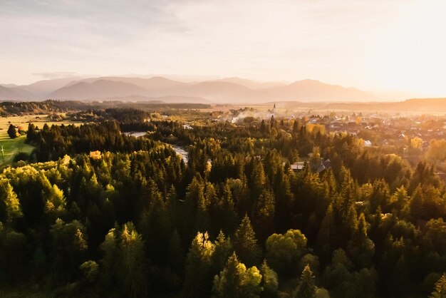 Aerial top view of green autumn trees in forest in Slovakia Drone photography Rainforest ecosystem and healthy environment concept Mountain river xDxA