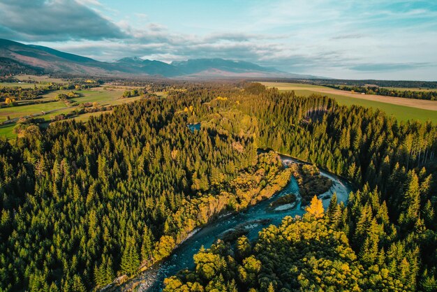 Aerial top view of green autumn trees in forest in Slovakia Drone photography Rainforest ecosystem and healthy environment concept Mountain river xDxA