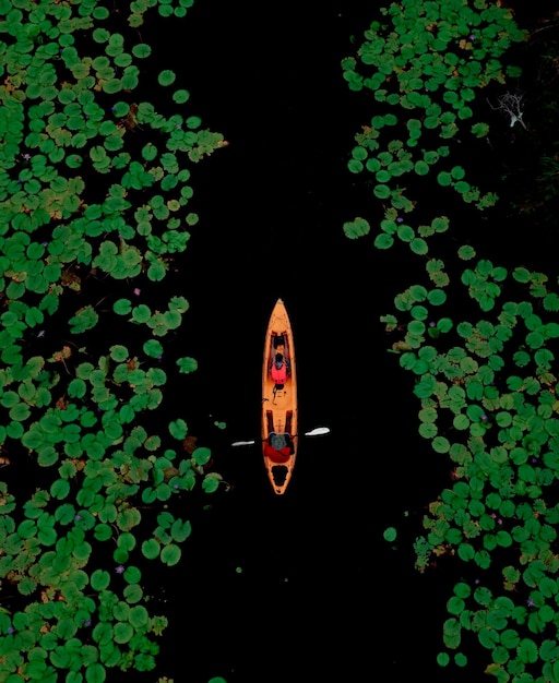 Aerial top view of man paddling kayaking in the lotus lake at rayong botanical garden in thailand