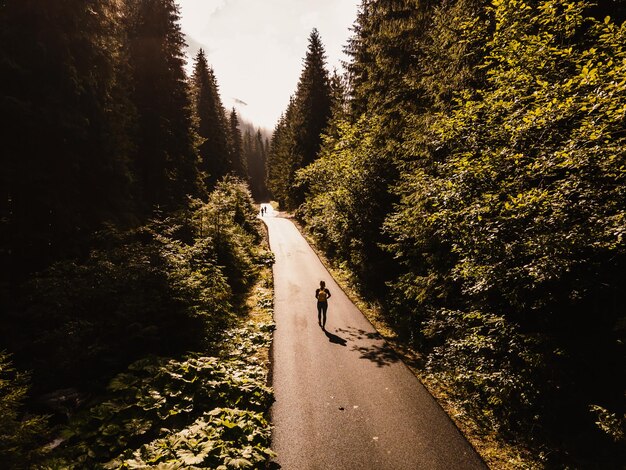 Aerial top view of misty forest trees in forest in Slovakia Drone photography Rainforest ecosystem and healthy environment concept Foggy morning